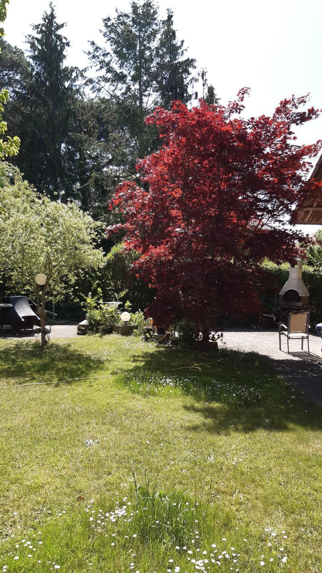 Ferienwohnung Luise, Gemuetlich, Freundlich Und Ganz Nah An Berlin Oranienburg Exterior photo